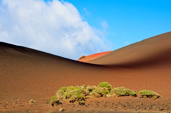 Lanzarote Bliss
