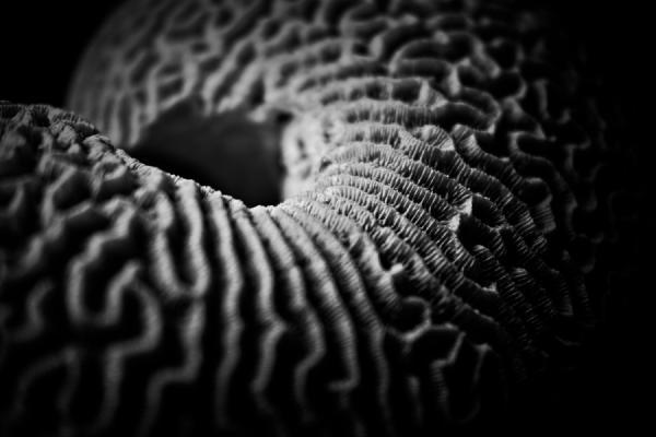 Isle of Wight Holiday