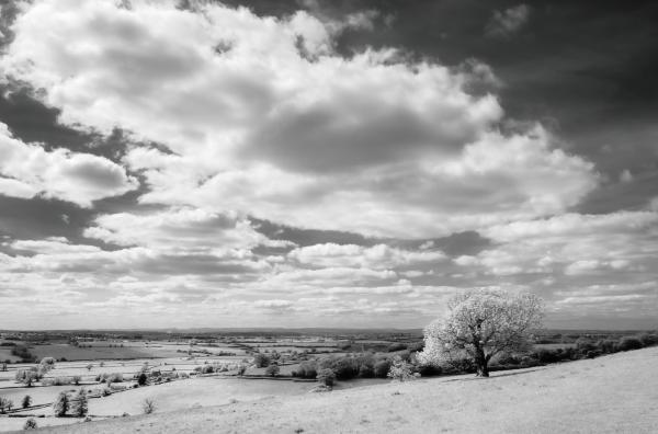 Faux infrared with Lightroom 4 from straight 32bit handheld HDR